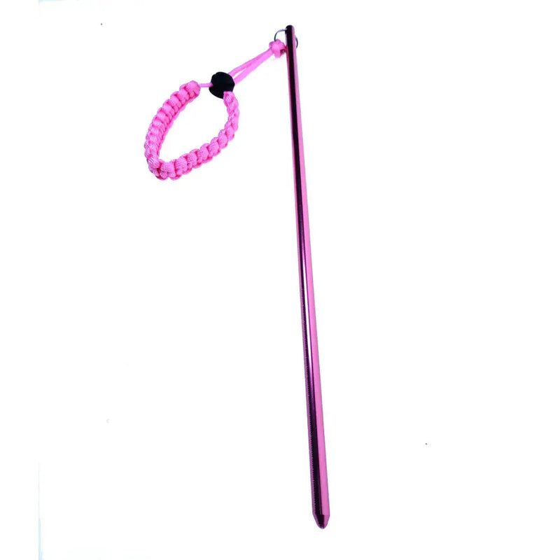 35cm Aluminium Dive Pointer Tank Banger – Reef Stick Lobster Tickle Stick with Clip by NZ Diver
