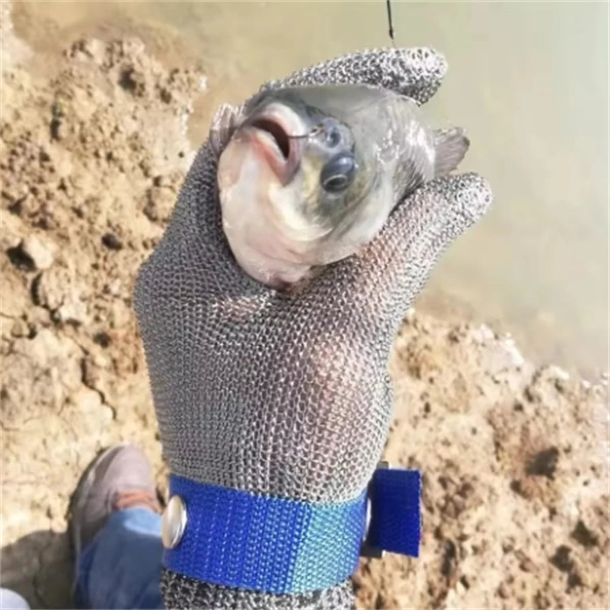 Stainless Steel Gloves Anti-cut Safety Cut Resistant Hand Protective Metal Meat Mesh Glove for Butcher Wire Knife Proof Stab - Action Outdoors Kiwi