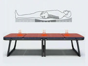 Portable Deluxe Folding Bed Mattress Indoor Folding by dealonline.co.nz