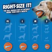 Animal Addiction Limited Chuckit! Tennis Ball Lge - 1pk Chuckit! Tennis Ball Lge - 1pk