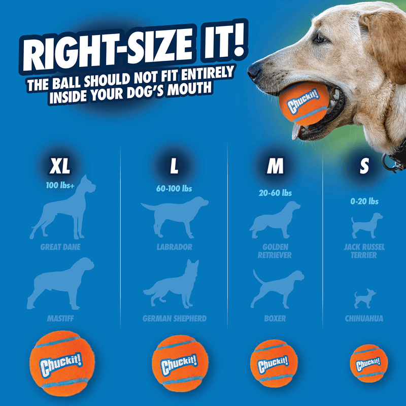 Animal Addiction Limited Chuckit! Tennis Ball Lge - 1pk Chuckit! Tennis Ball Lge - 1pk