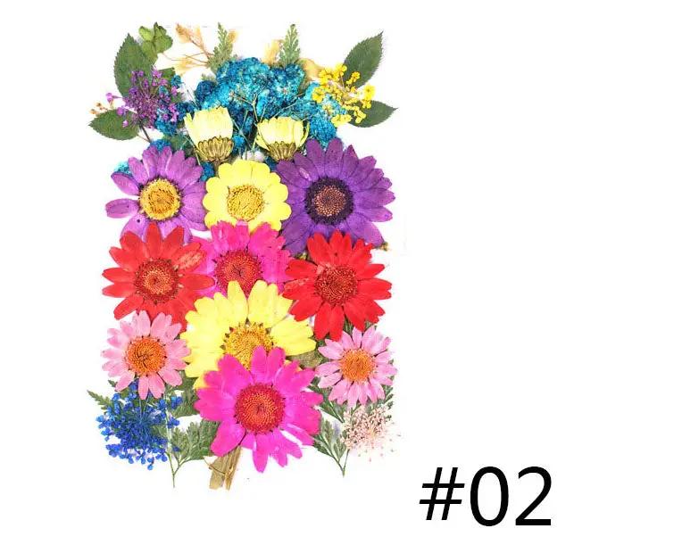 Real Dried Flower - Sealed in Pocket Pack by Resin Art NZ