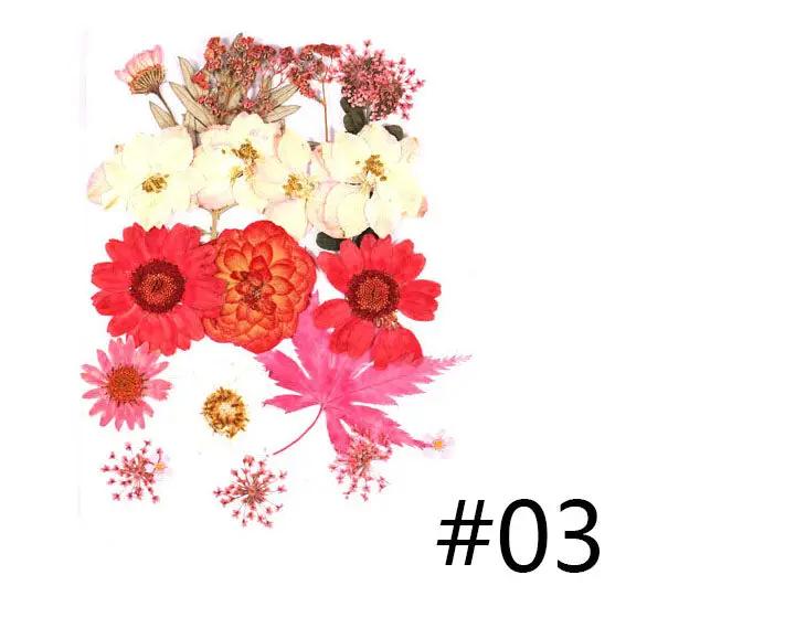 Real Dried Flower - Sealed in Pocket Pack by Resin Art NZ