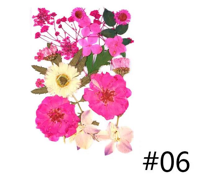 Real Dried Flower - Sealed in Pocket Pack by Resin Art NZ
