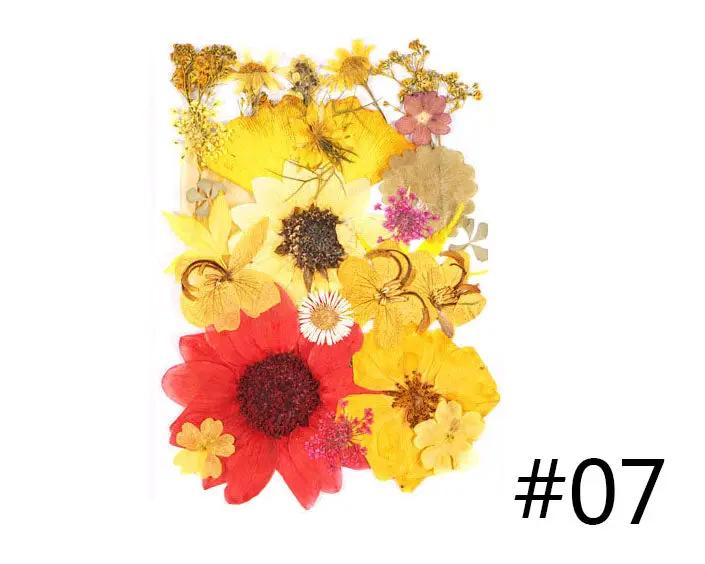 Real Dried Flower - Sealed in Pocket Pack by Resin Art NZ