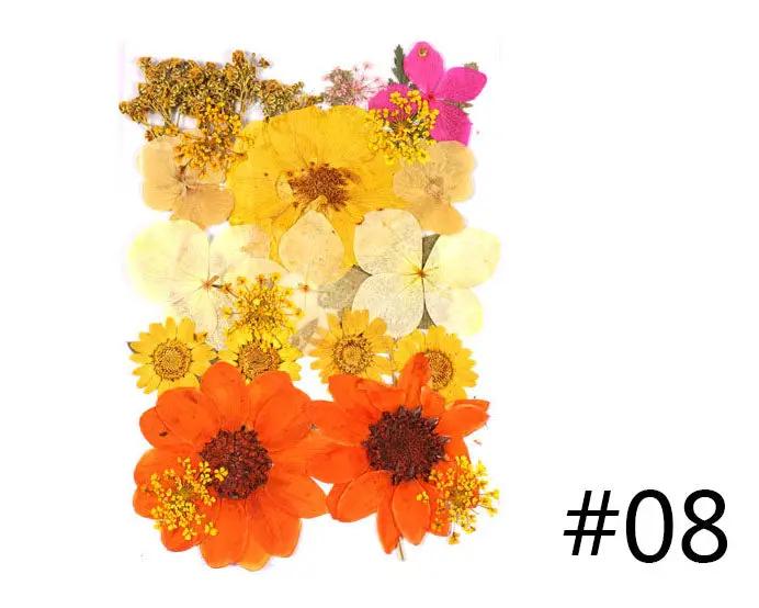 Real Dried Flower - Sealed in Pocket Pack by Resin Art NZ