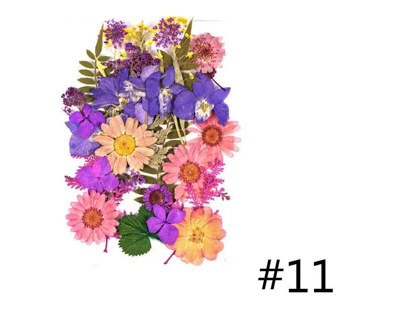 Real Dried Flower - Sealed in Pocket Pack by Resin Art NZ