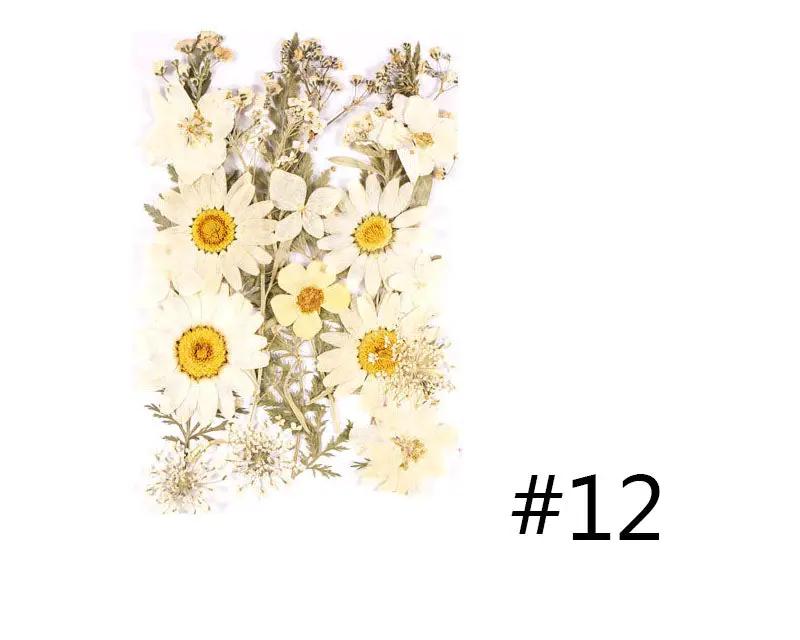 Real Dried Flower - Sealed in Pocket Pack by Resin Art NZ