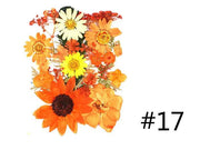 Real Dried Flower - Sealed in Pocket Pack by Resin Art NZ