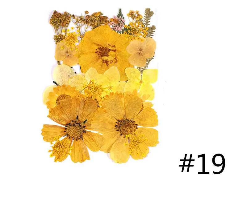 Real Dried Flower - Sealed in Pocket Pack by Resin Art NZ