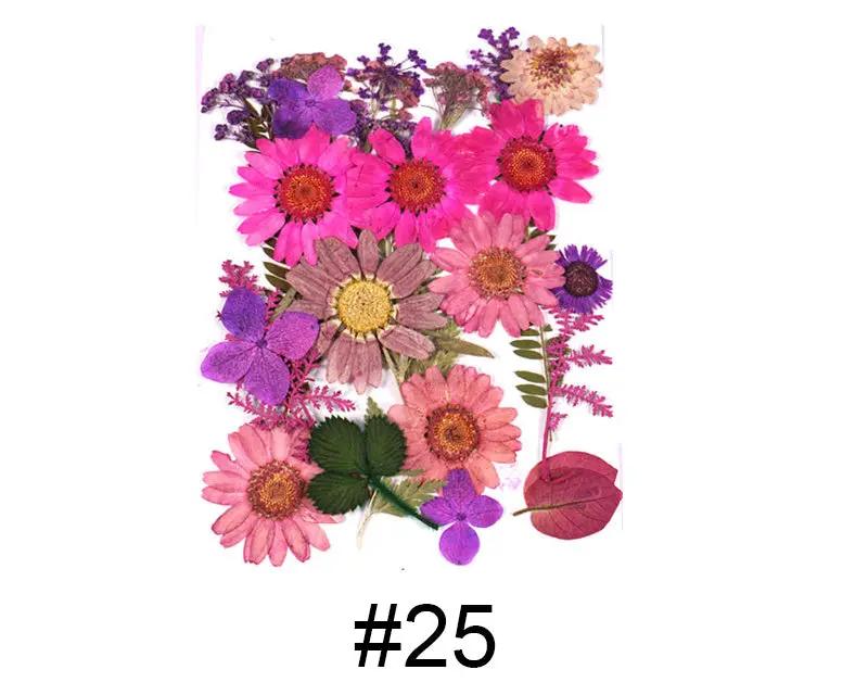 Real Dried Flower - Sealed in Pocket Pack by Resin Art NZ