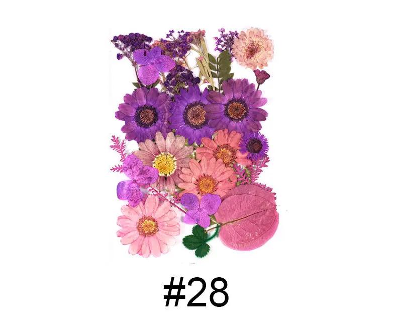 Real Dried Flower - Sealed in Pocket Pack by Resin Art NZ