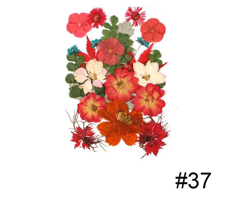 Real Dried Flower - Sealed in Pocket Pack by Resin Art NZ