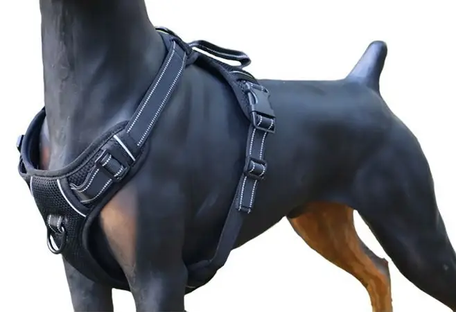 M-BLACK Dog Harness Set Pet Adjustable Chest Strap Walking Collar Vest by dealonline.co.nz