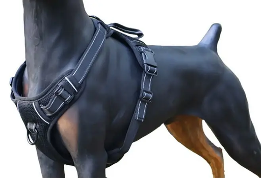 M-BLACK Dog Harness Set Pet Adjustable Chest Strap Walking Collar Vest by dealonline.co.nz