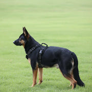 Dog Harness Set Pet Adjustable Chest Strap Walking Collar Vest by dealonline.co.nz