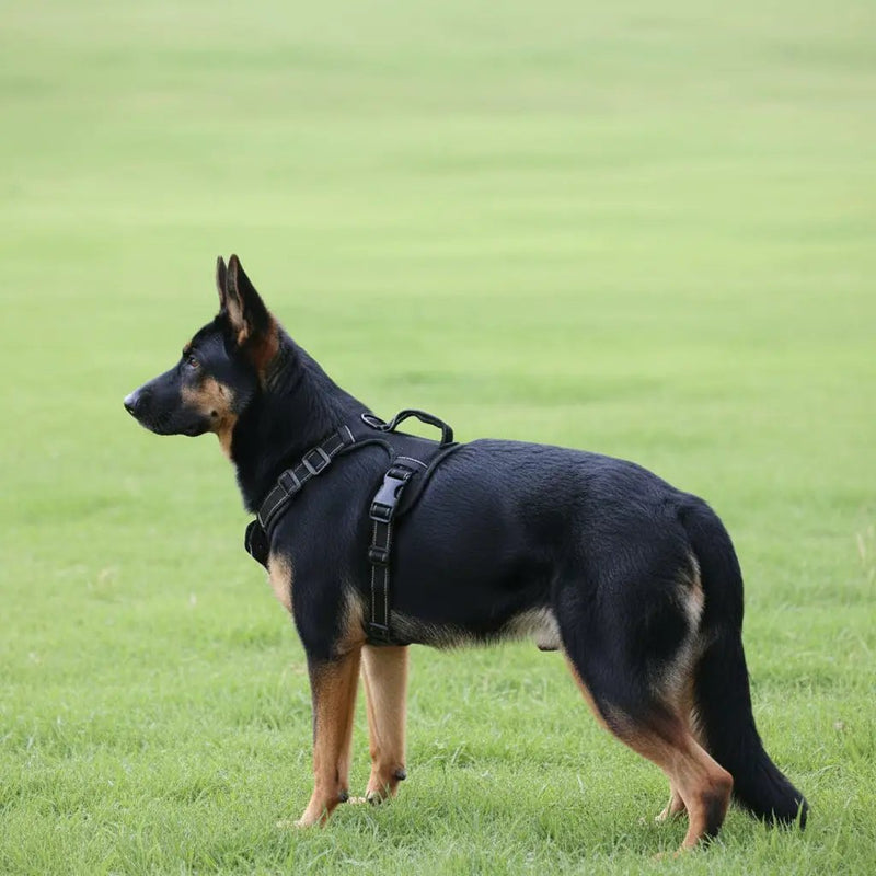 Dog Harness Set Pet Adjustable Chest Strap Walking Collar Vest by dealonline.co.nz