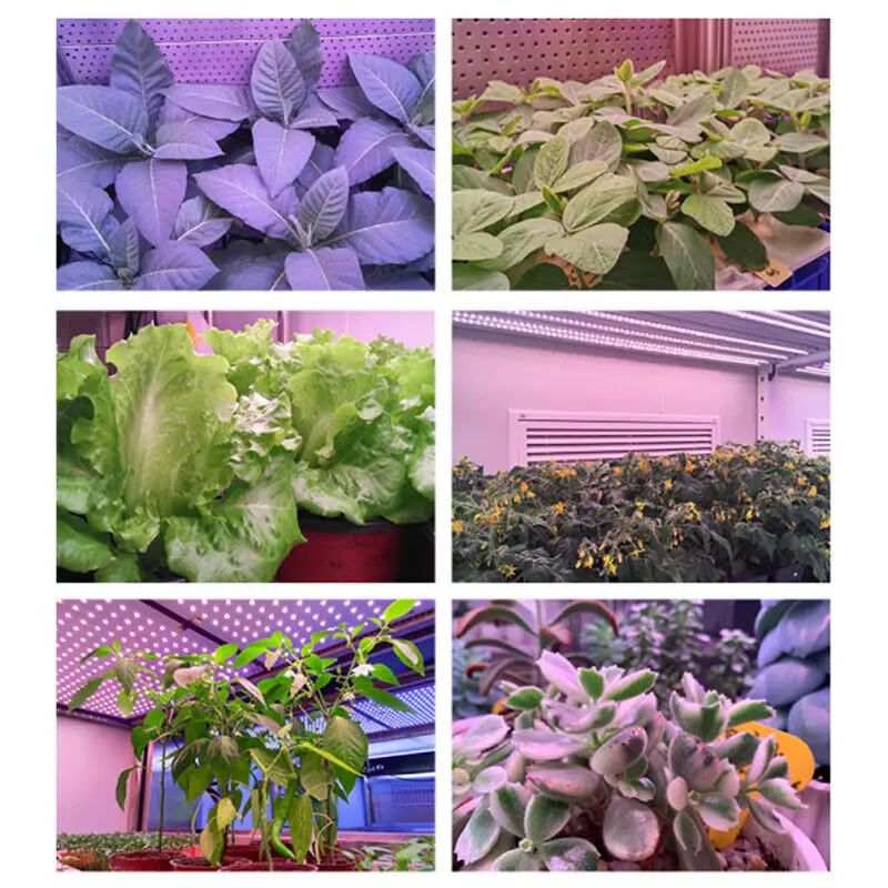 Grow Light 4 Head LED Plant Light by salelink.co.nz