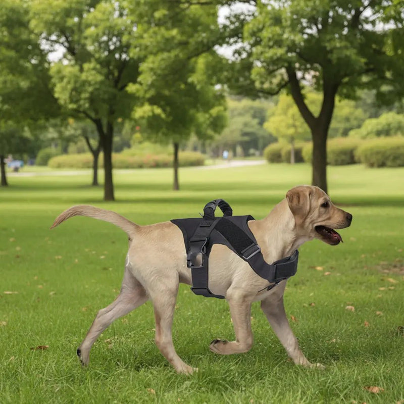 Tactical Dog Harness Training Walking Collar Vest Pet Adjustable Chest Strap by dealonline.co.nz