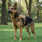 Tactical Dog Harness Training Walking Collar Vest Pet Adjustable Chest Strap by dealonline.co.nz