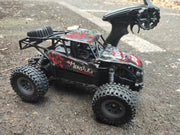 2.4GHz Rechargeable Remote Control Mountain Racing Car 15KM/H with Light by dealonline.co.nz