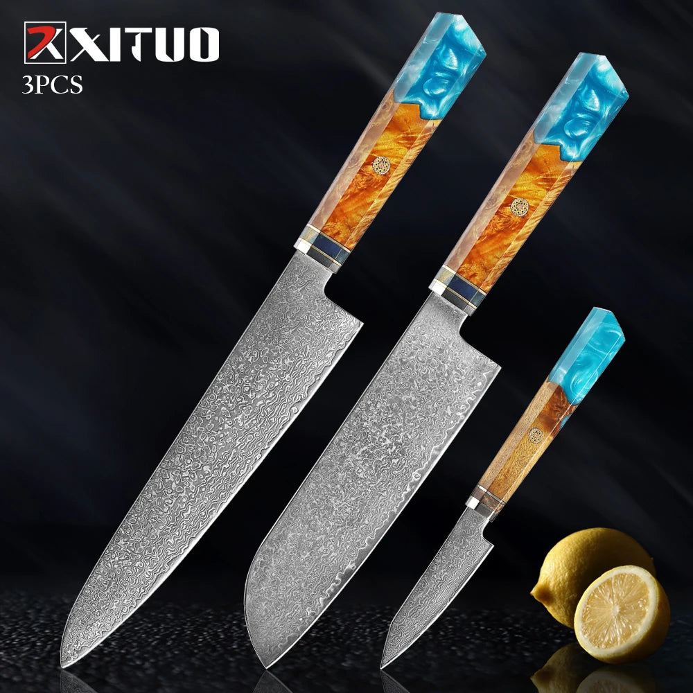 XITUO Damascus Knife Set Kitchen Knife Damascus Steel VG10 Chef Knife Santoku Knives Japanese Knife Home kitchen tools best gift - Action Outdoors Kiwi