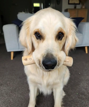 Coffee Wood Chews by DogTreatNZ