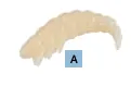 Balzer Fishing Lures Scented Soft Rubber Grub - 6 Grubs per pack - 3cm Scented Soft Rubber Grub - 6 Grubs per pack - 3cm