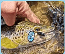 Balzer Fishing Lures Colonel Classic Spinner - Mother of Pearl Series - Abalony / Paua SIlver Colonel Classic Spinner - Mother of Pearl Series - Abalony / Paua SIlver