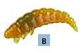 Balzer Fishing Lures Scented Soft Rubber Grub - 6 Grubs per pack - 3cm Scented Soft Rubber Grub - 6 Grubs per pack - 3cm