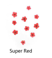 Real Dried Flower - Small Daffodil by Resin Art NZ