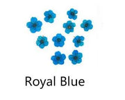 Real Dried Flower - Small Daffodil by Resin Art NZ