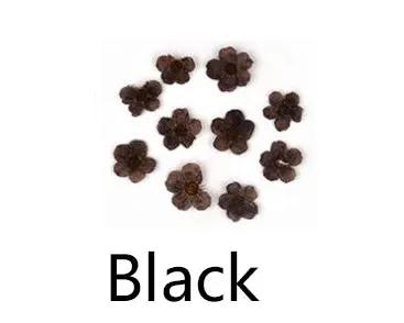 Real Dried Flower - Small Daffodil by Resin Art NZ