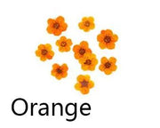 Real Dried Flower - Small Daffodil by Resin Art NZ