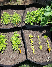 60x60x30CM Vegetable Planting Bag Fabric Raised Bed Garden Plant Flower Grow Bag by salelink.co.nz
