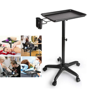 Hair Salon Trolley Hair Extension Rolling Stand Aluminum by salelink.co.nz