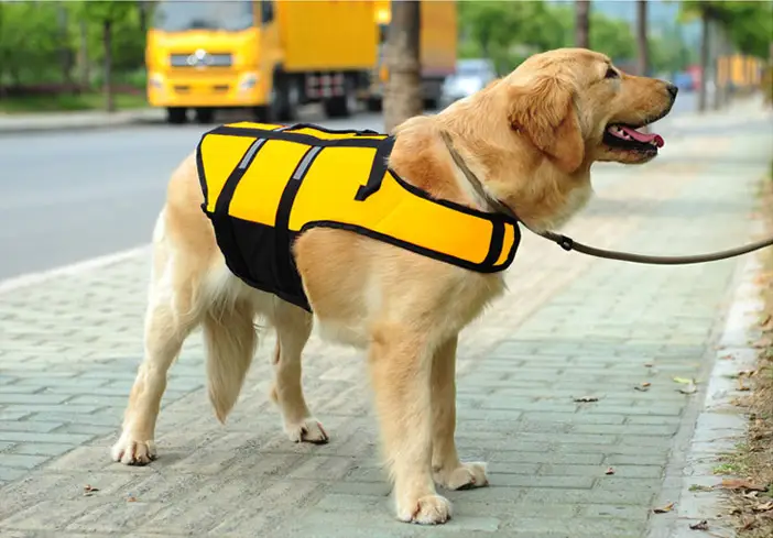Dog Life Jackets, Reflective & Adjustable Preserver Vest with Enhanced Buoyancy by dealonline.co.nz