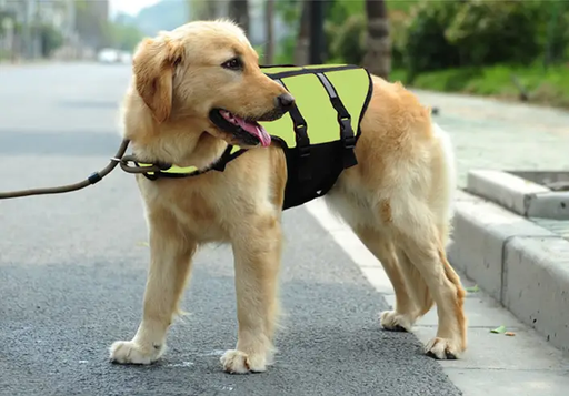 Dog Life Jackets, Reflective &amp; Adjustable Preserver Vest with Enhanced Buoyancy by dealonline.co.nz