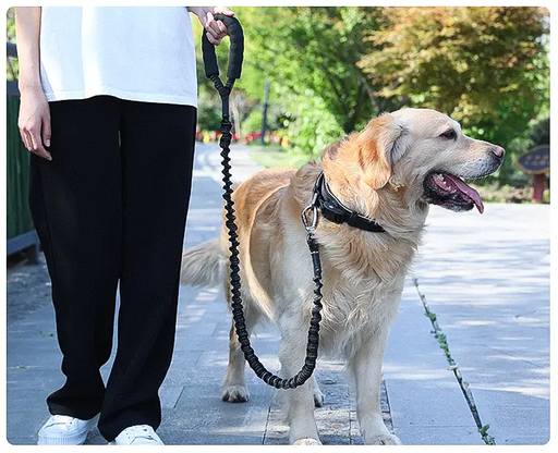 Dog Leash Heavy Duty 80-105cm Shock Absorbing Bungee with Handle BK by dealonline.co.nz