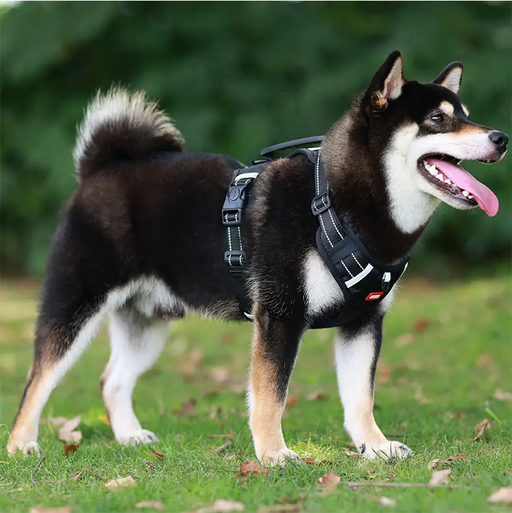 Dog Harness Set Pet Adjustable Chest Strap Walking Collar Vest by dealonline.co.nz