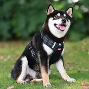 Dog Harness Set Pet Adjustable Chest Strap Walking Collar Vest by dealonline.co.nz