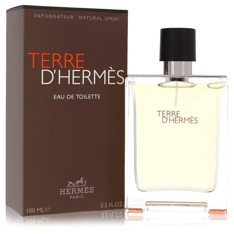 Terre Dhermes Eau De Toilette Spray by Hermes 100 ml by Brands HD