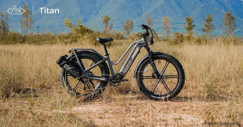 Kiwi eRide Kiwi eRide FIIDO Titan Electric Bike Fat Tire Touring E-bike FIIDO Titan Electric Bike Fat Tire Touring E-bike