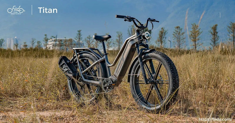 Kiwi eRide Kiwi eRide FIIDO Titan Electric Bike Fat Tire Touring E-bike FIIDO Titan Electric Bike Fat Tire Touring E-bike
