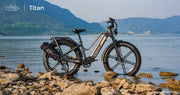 Kiwi eRide Kiwi eRide FIIDO Titan Electric Bike Fat Tire Touring E-bike FIIDO Titan Electric Bike Fat Tire Touring E-bike