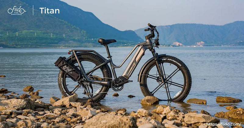 Kiwi eRide Kiwi eRide FIIDO Titan Electric Bike Fat Tire Touring E-bike FIIDO Titan Electric Bike Fat Tire Touring E-bike