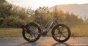 Kiwi eRide Kiwi eRide FIIDO Titan Electric Bike Fat Tire Touring E-bike FIIDO Titan Electric Bike Fat Tire Touring E-bike