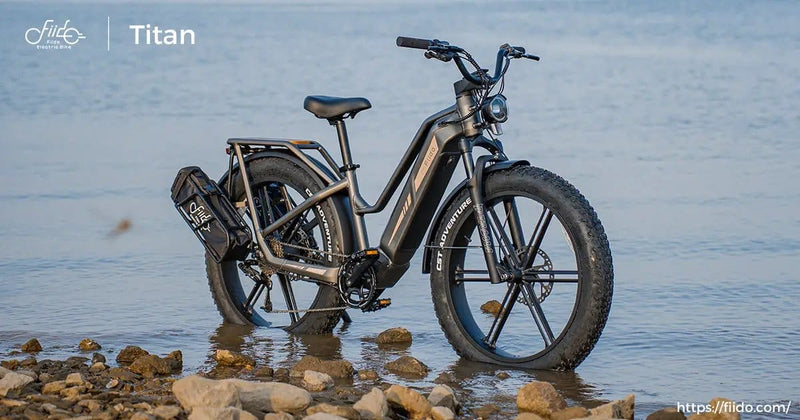 Kiwi eRide Kiwi eRide FIIDO Titan Electric Bike Fat Tire Touring E-bike FIIDO Titan Electric Bike Fat Tire Touring E-bike