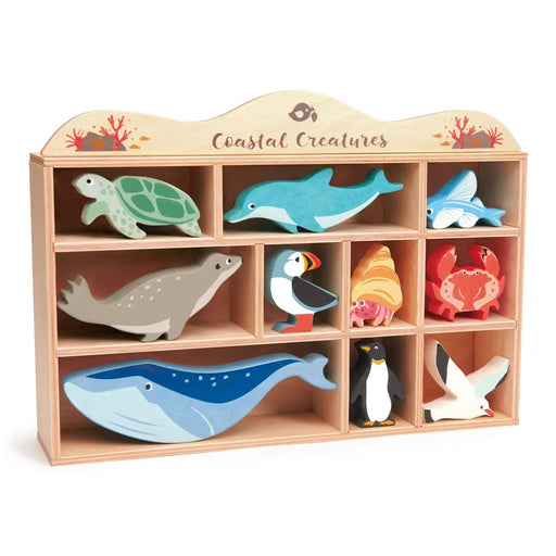 Curious Moonbeam Pretend Play Coastal Creatures Wooden Stacking & Display Set - Tender Leaf Toys | Wooden Toy NZ Coastal Creatures Wooden Stacking & Display Set - Tender Leaf Toys | Wooden Toy NZ