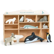 Wooden Polar Animals Display Shelf Set - Tender Leaf Toys | Wooden Toy NZ by Curious Moonbeam